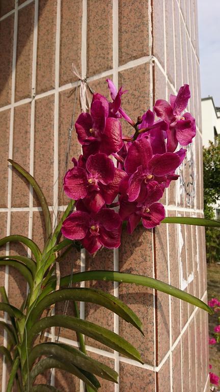 Garden Hostel Minxiong Exterior photo